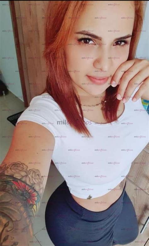 Mileroticis medellin - Meet transgender women in Medellin, Colombia. Trans communinty for real dating and relationships with TS, CD, TV, transsexuals and the LGBT community.
